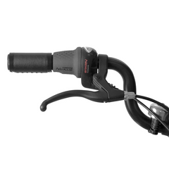 ICON XDS E-Micro Folding E-Bike