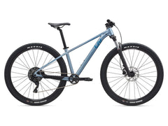 Liv Tempt 2 Womens Mountain Bike Frost Silver 2025