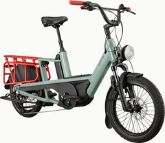 Cannondale Cargowagon Neo E-Bike Sage