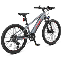 XDS Advance 300 24" E Mountain Bike E-Bike