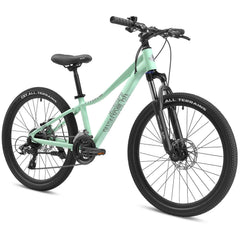 Mint