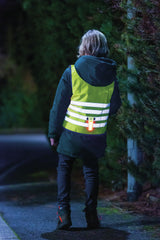 Abus Lumino Indicator Light