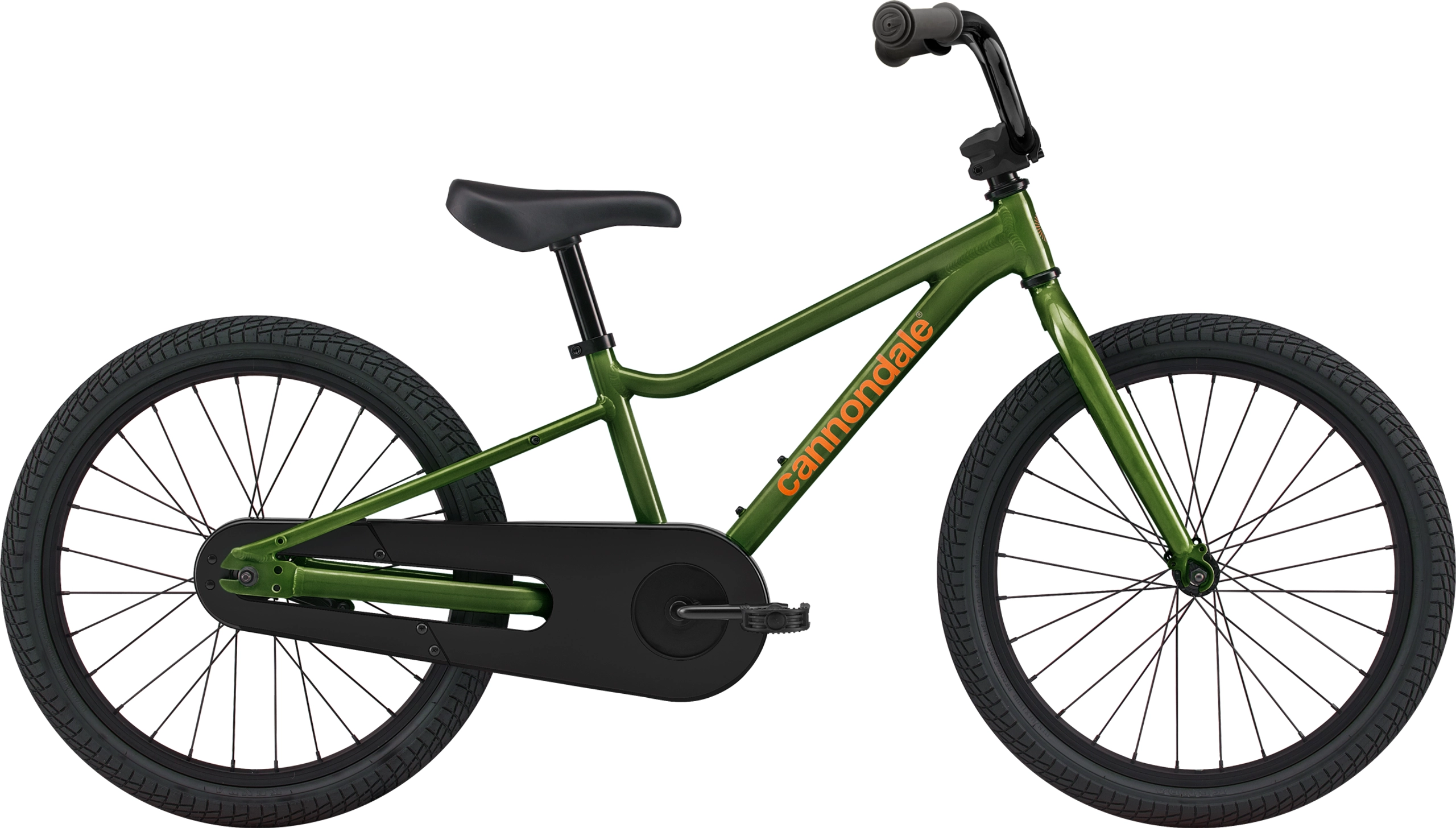 Spruce Green