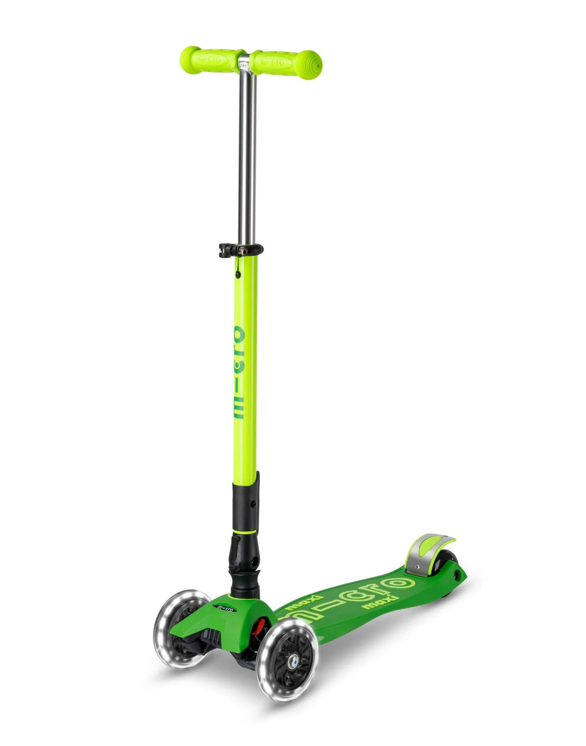 Parrot Green