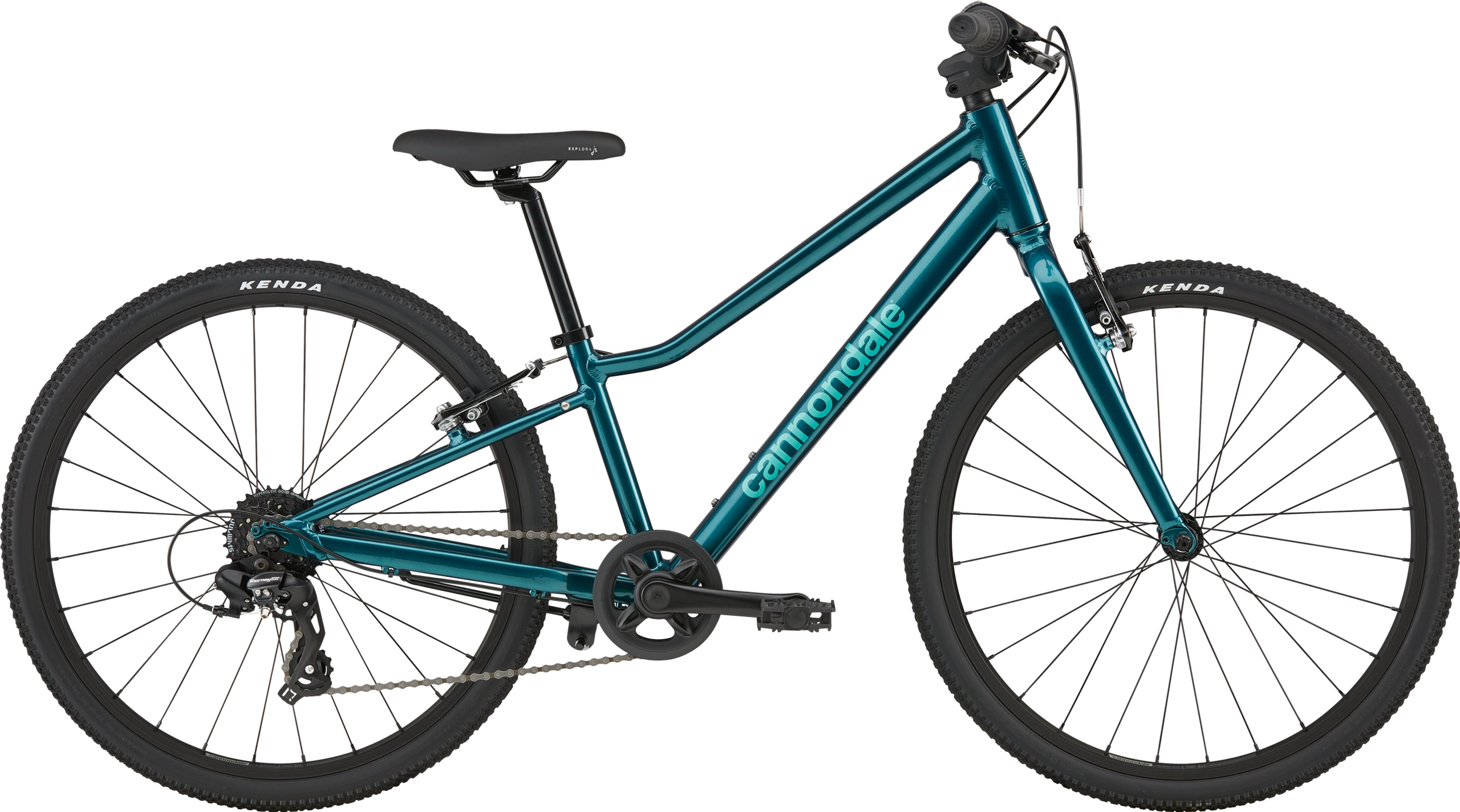 Deep Teal Green