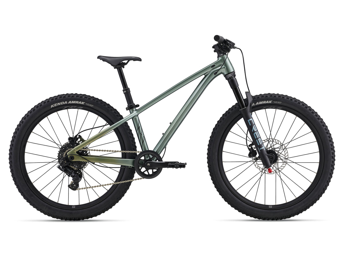 Giant STP 24 Liv Alpine Green